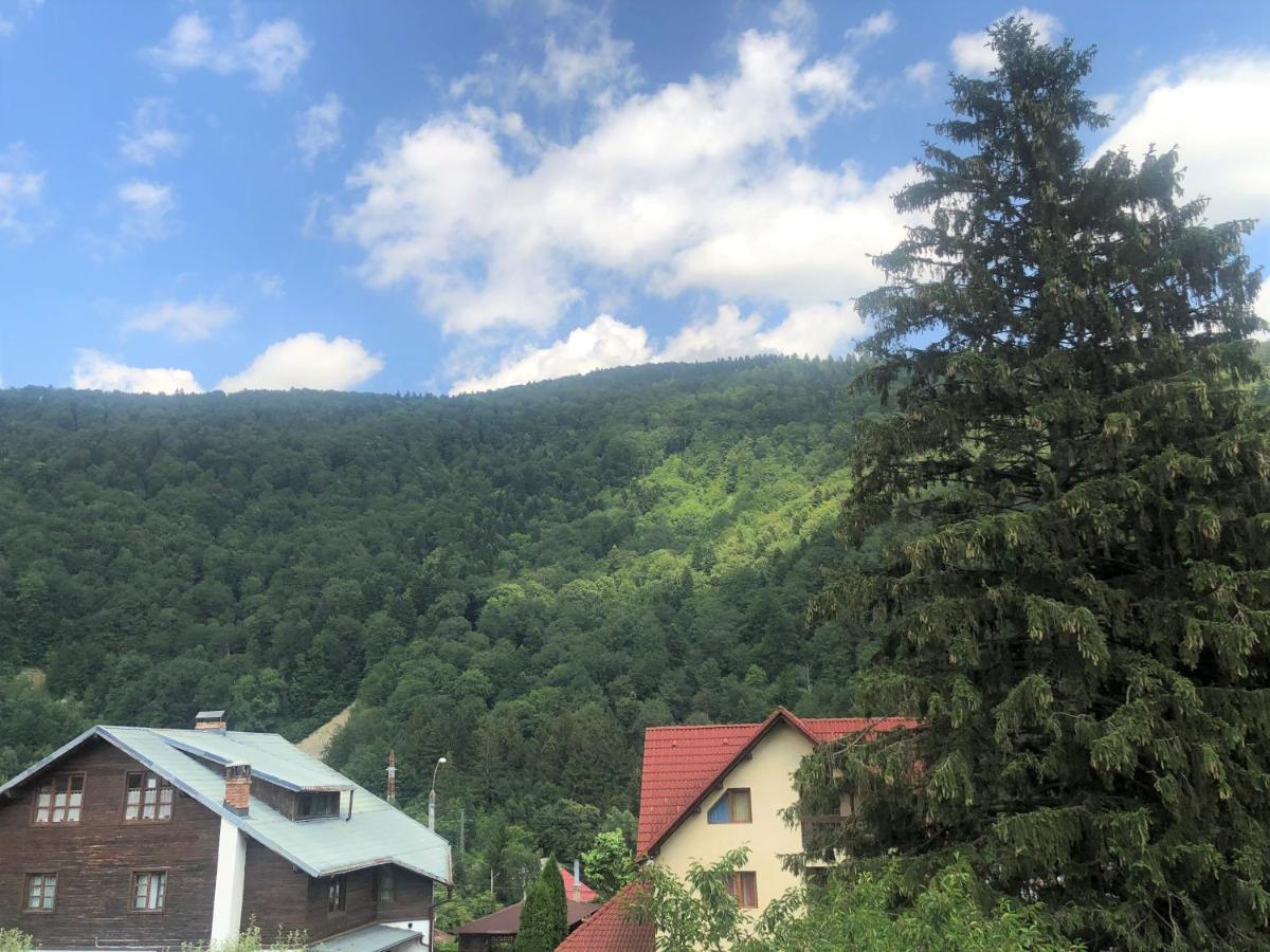 Holiday Home In Sinaia Exteriér fotografie